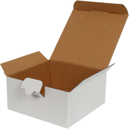 13,5x13,5x6,5cm Locked Box - White - 1