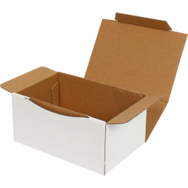 15,5x11x7,5cm Locked Box - White - 1