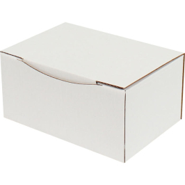 15,5x11x7,5cm Locked Box - White - 2