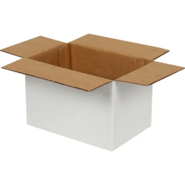 15x10x10cm Single Corrugated Box - White - 2