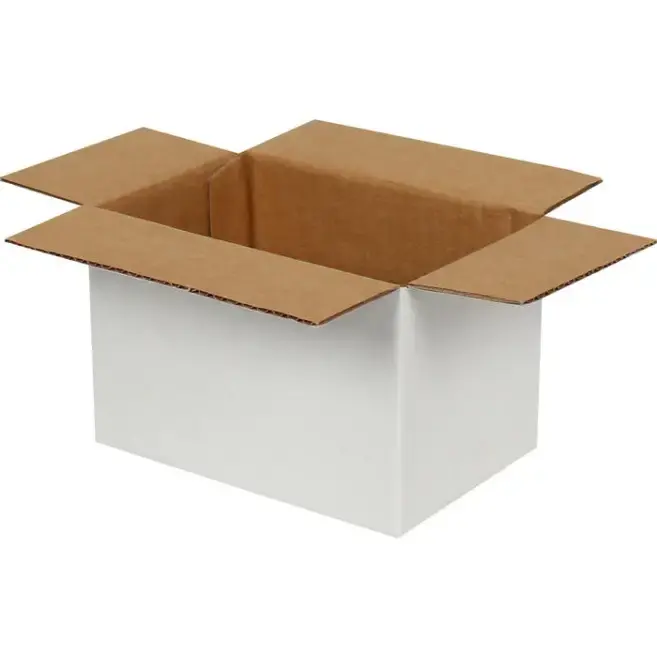 15x10x10cm Single Corrugated Box - White - 2