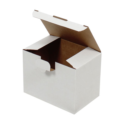 15x10x11cm Locked Box - White - 2