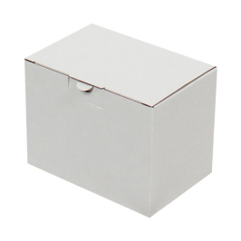 15x10x11cm Locked Box - White - 3