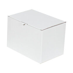 18x13x15.5cm Locked Box - White - 1