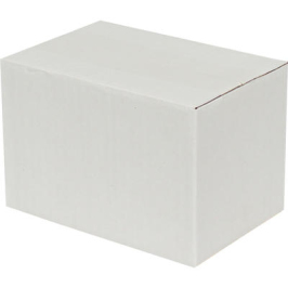 20x10x10cm Single Corrugated Box - White - 2