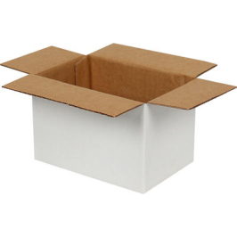 20x10x10cm Single Corrugated Box - White - 1