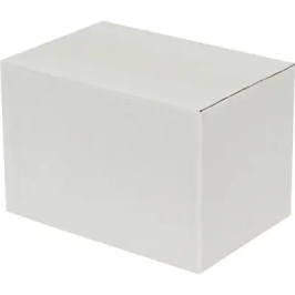 20x15x10cm Single Corrugated Box - White - 2