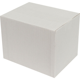 20x15x15cm Single Corrugated Box - White - 3