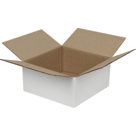 20x20x10cm Single Corrugated Box - White - 2