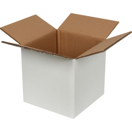 20x20x20cm Double Corrugated White Box - 2