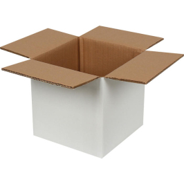 20x20x20cm Double Corrugated White Box - 1