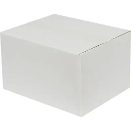 21x12x14cm Single Corrugated Box - White - 3