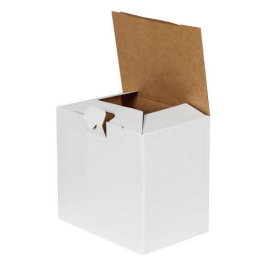 22x15x20cm Locked Box - White - 3