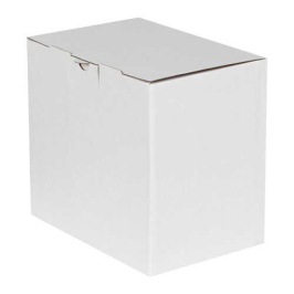 22x15x20cm Locked Box - White - 2