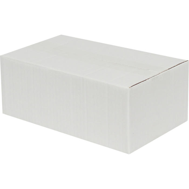 25x15x10cm Single Corrugated Box - White - 3