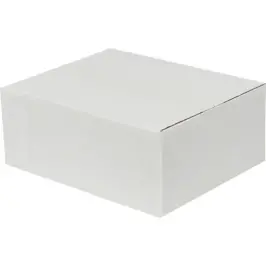 25x20x10cm Single Corrugated Box - White - 3