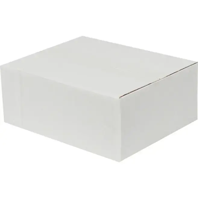 25x20x10cm Single Corrugated Box - White - 3