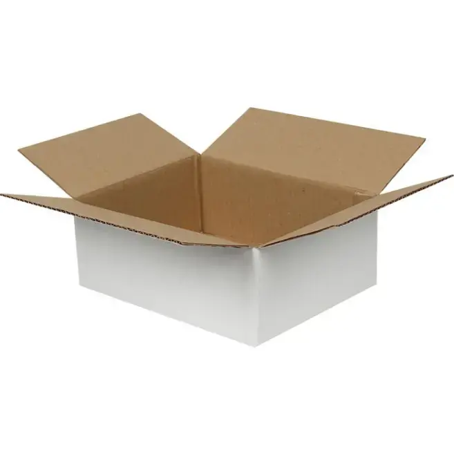 25x20x10cm Single Corrugated Box - White - 2