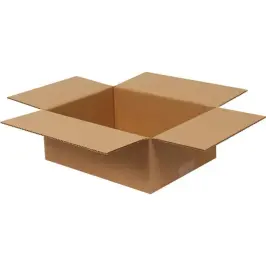 25x20x10cm Single Corrugated Box - Kraft - 1