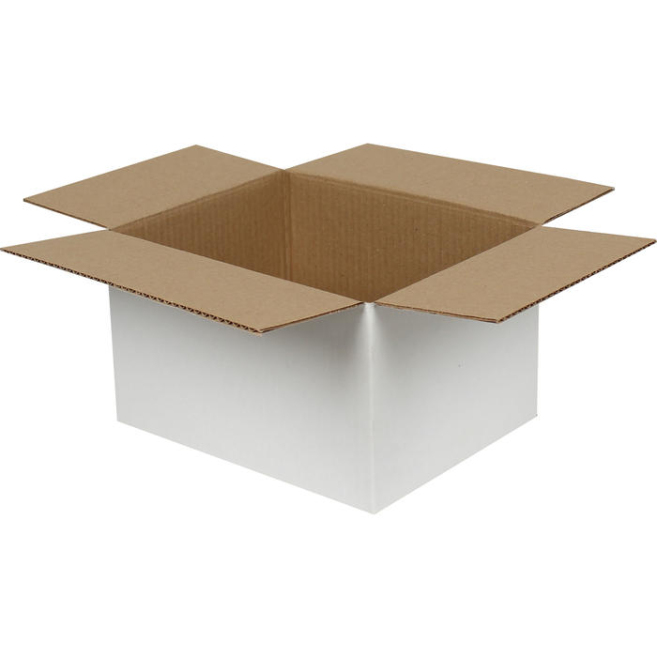 25x20x15cm Single Corrugated White Box - 1