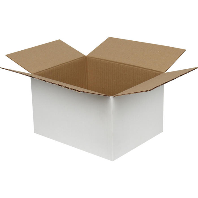 25x20x15cm Single Corrugated White Box - 2