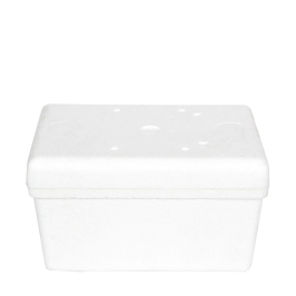 26x16x12 cm Styrofoam Ice Cream Box - 0.5Kg. - 2