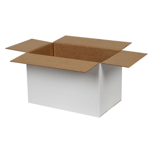 28x18x18cm Single Corrugated Box - White - 3