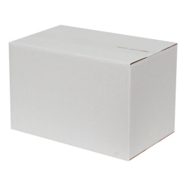 28x18x18cm Single Corrugated Box - White - 2