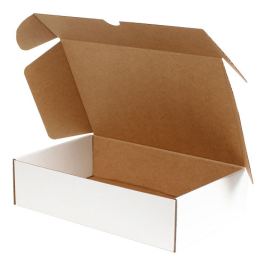 28x18x7cm Locked Box - White - 1