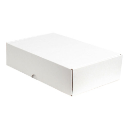 28x18x7cm Locked Box - White - 3