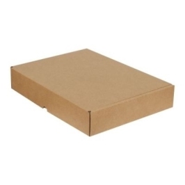 28x20x12cm Box - 2 Desi Boxes - Ziplock Box - Kraft - 2