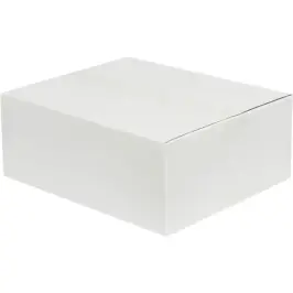 30x25x12cm Single Corrugated Box - White - 3