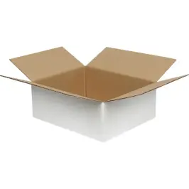 30x25x12cm Single Corrugated Box - White - 1