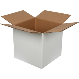 30x30x25cm Double Corrugated White Box - 1