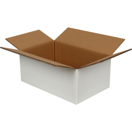 35x22x15cm Double Corrugated Box - White - 2