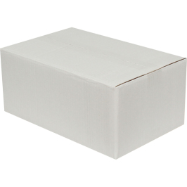 35x22x15cm Double Corrugated Box - White - 3