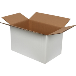 40x25x25cm Double Corrugated White Box - 2