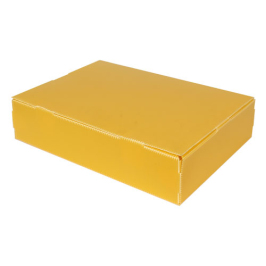 40x29x9cm Plastic Box - Small Size - 2