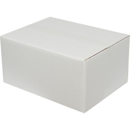 40x30x20cm Double Corrugated White Box - 3