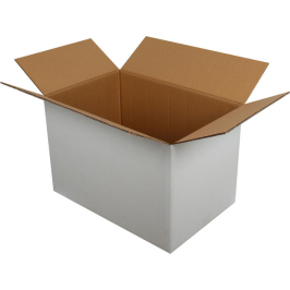 60x40x40cm Double Corrugated Box - White - 2